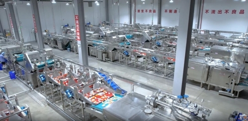 衛(wèi)龍透明工廠:全鏈條守護,打造品質(zhì)食品的新標桿