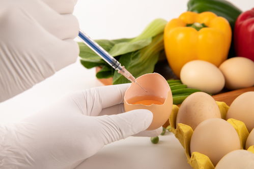 雞蛋食品安全農業(yè)科技食品培育攝影圖 插畫 下載至來源處