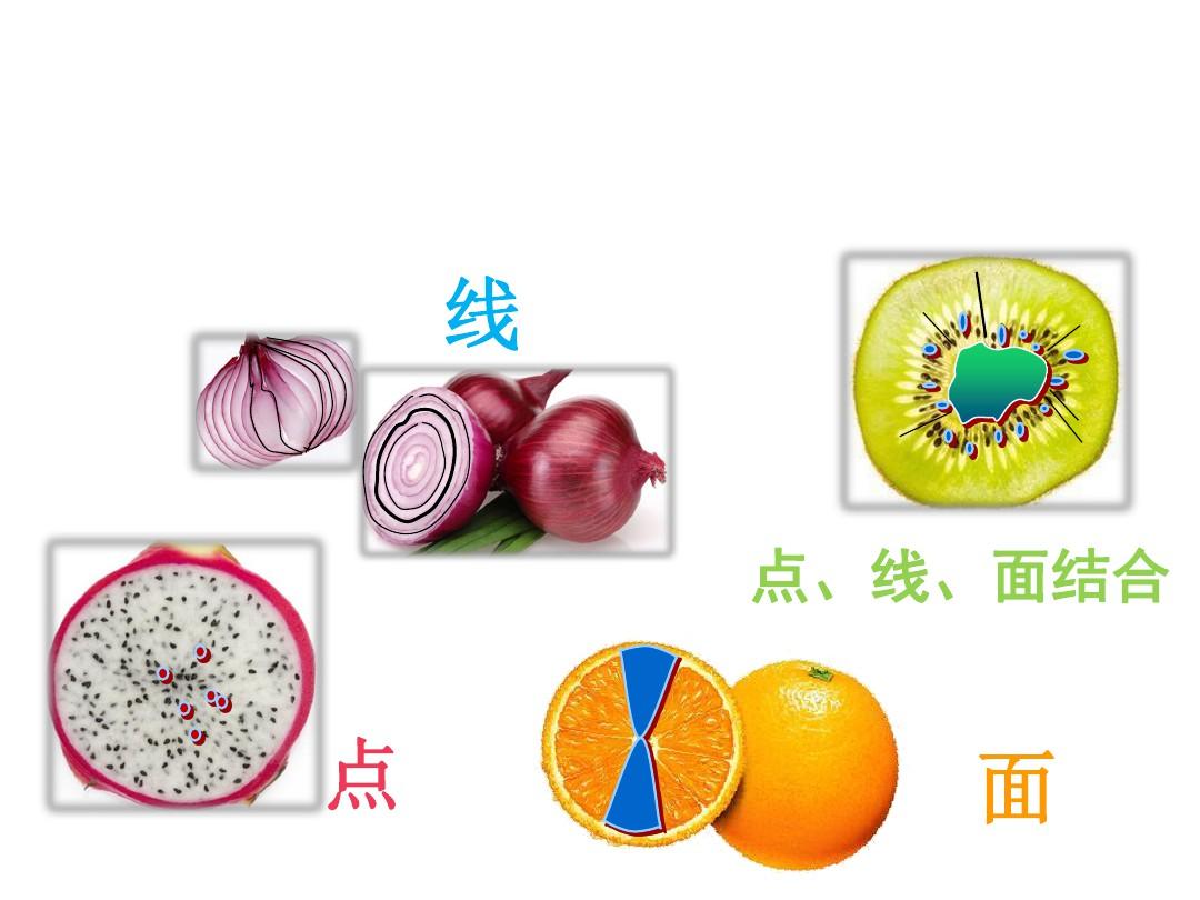 蔬果的剖面 探索食物內部的美與營養